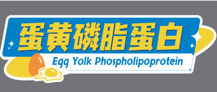 Egg Yolk Phospholipid Protein