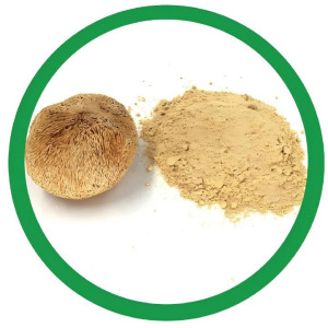 Lion's Mane Extract (Hericium Erinaceus)