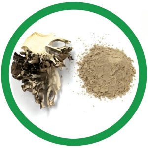Maitake Extract (Grifola Frondosa)