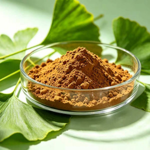 Ginkgo Biloba Extract
