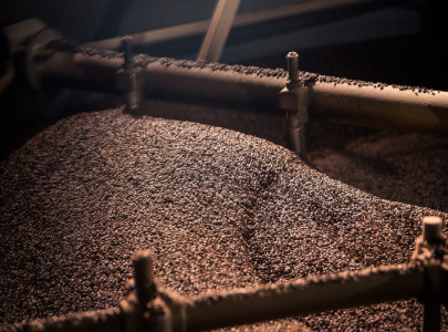 MALTS FOR FOOD AND BAKING
