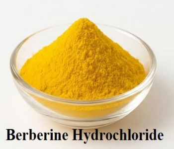 Berberine Hydrochloride