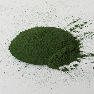 Spirulina(One of the oldest microalgae on earth)