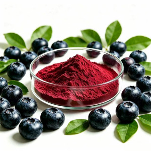 Blueberry Extract