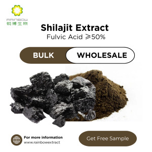 Shilajit Extract