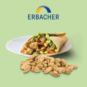 Sunflower Protein (50 %) Texturate – Tailored TVP Solutions