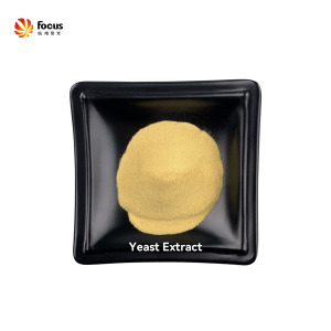 Yeast Extract