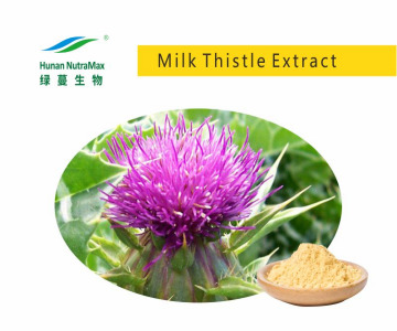 Milk Thistle Extract