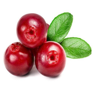 Cranberry extract