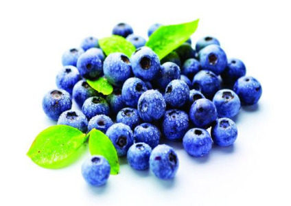 Bilberry Extract