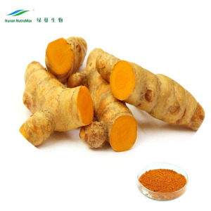 Turmeric Extract