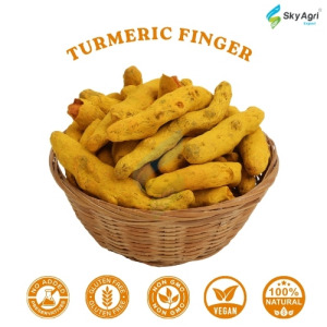 Turmeric