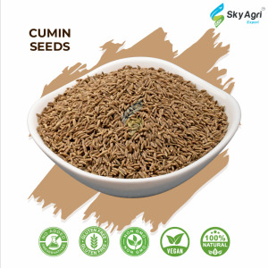 Cumin Seeds