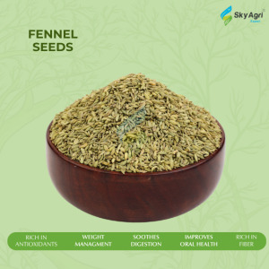 Fennel Seeds