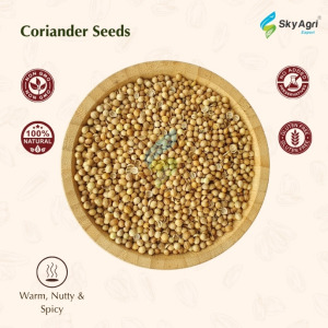 Coriander seeds