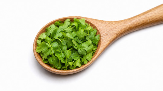 Coriander Leaves