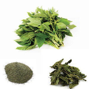 Egyptian Dried Molokhia Leaves | Cut & Ground