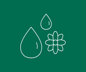 Essential Oils, Botanical Extracts & Aromatic Raw Materials