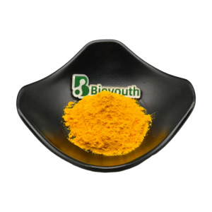 Coenzyme Q10