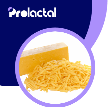 PROcase Isolate
