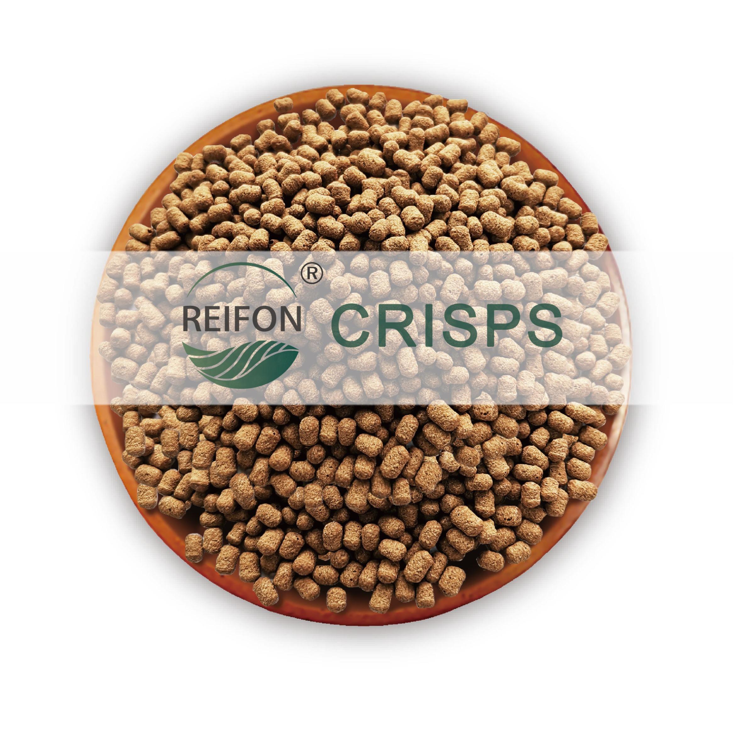 Soy Protein Cocoa Crisps