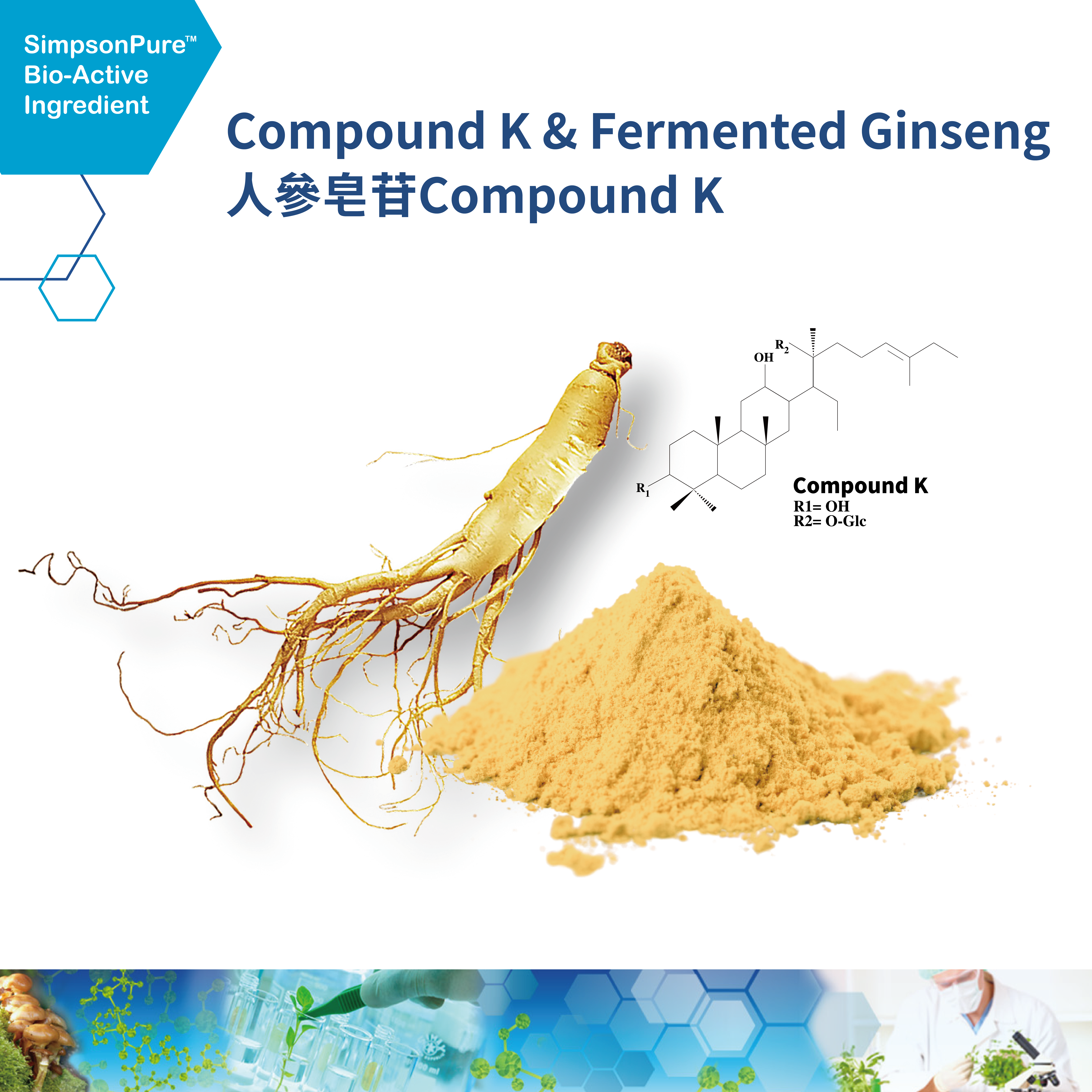Compound K & Fermented Ginseng
