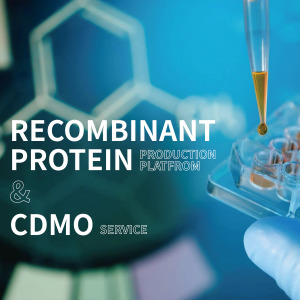 RECOMBINANT PROTEIN & CDMO