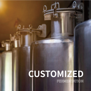 CUSTOMIZED FERMENTATION