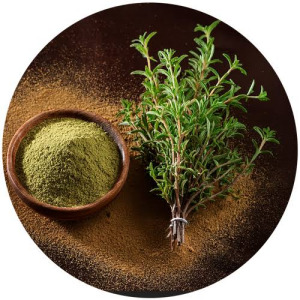 Thyme powder