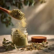 Oregano powder