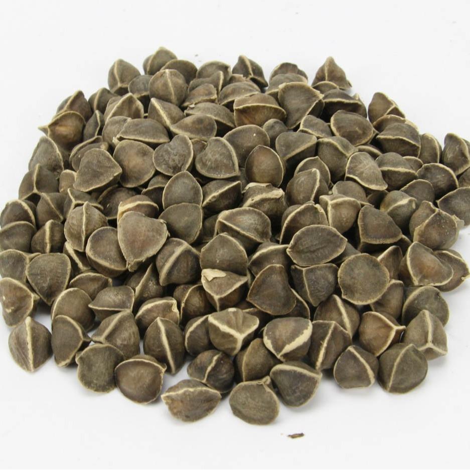 MORINGA SEEDS