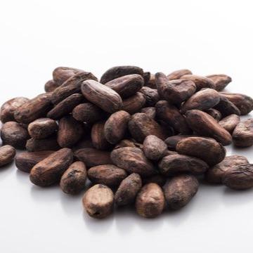 COCOA BEANS