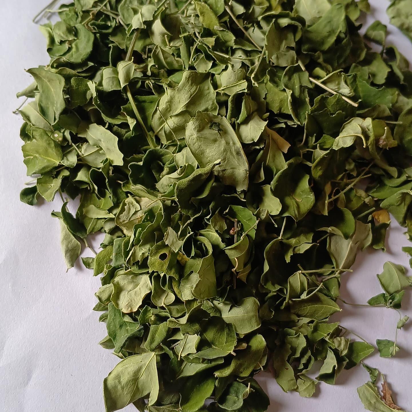 MORINGA LEAVES