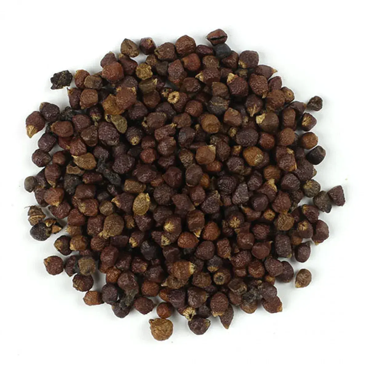 GRAINS OF PARADISE