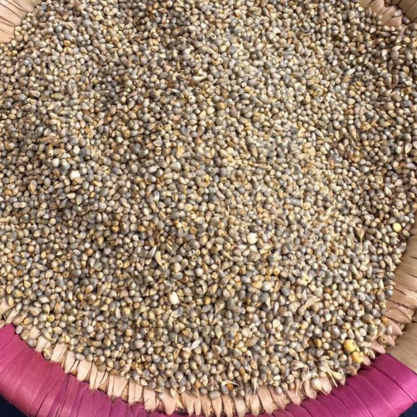MILLET