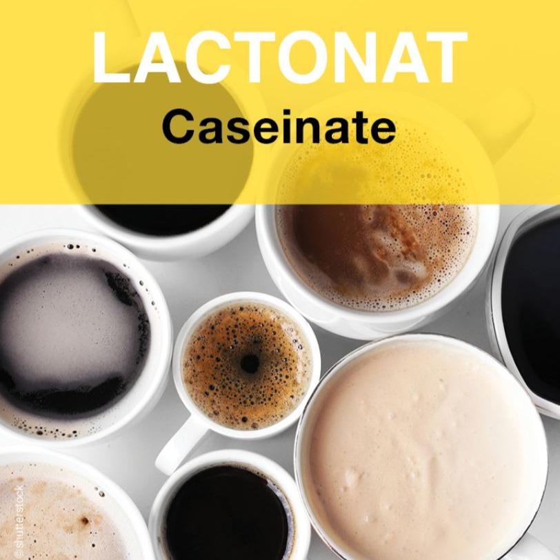 LACTONAT- caseinate for natural emulsification