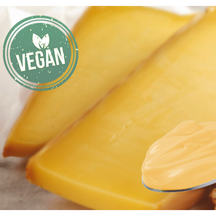 Natural Plant-Based Flavor Powder, Type Italian Hard Cheese - PCG-92031
