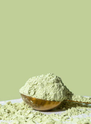 Pumpkin Seed Protein