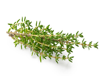 Thyme CO2 Extract