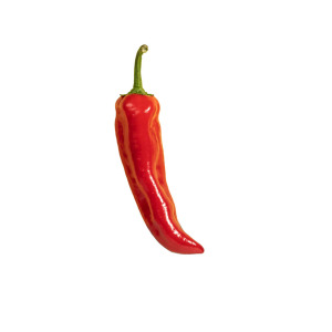Red Pepper (Capsicum) CO2 Extract