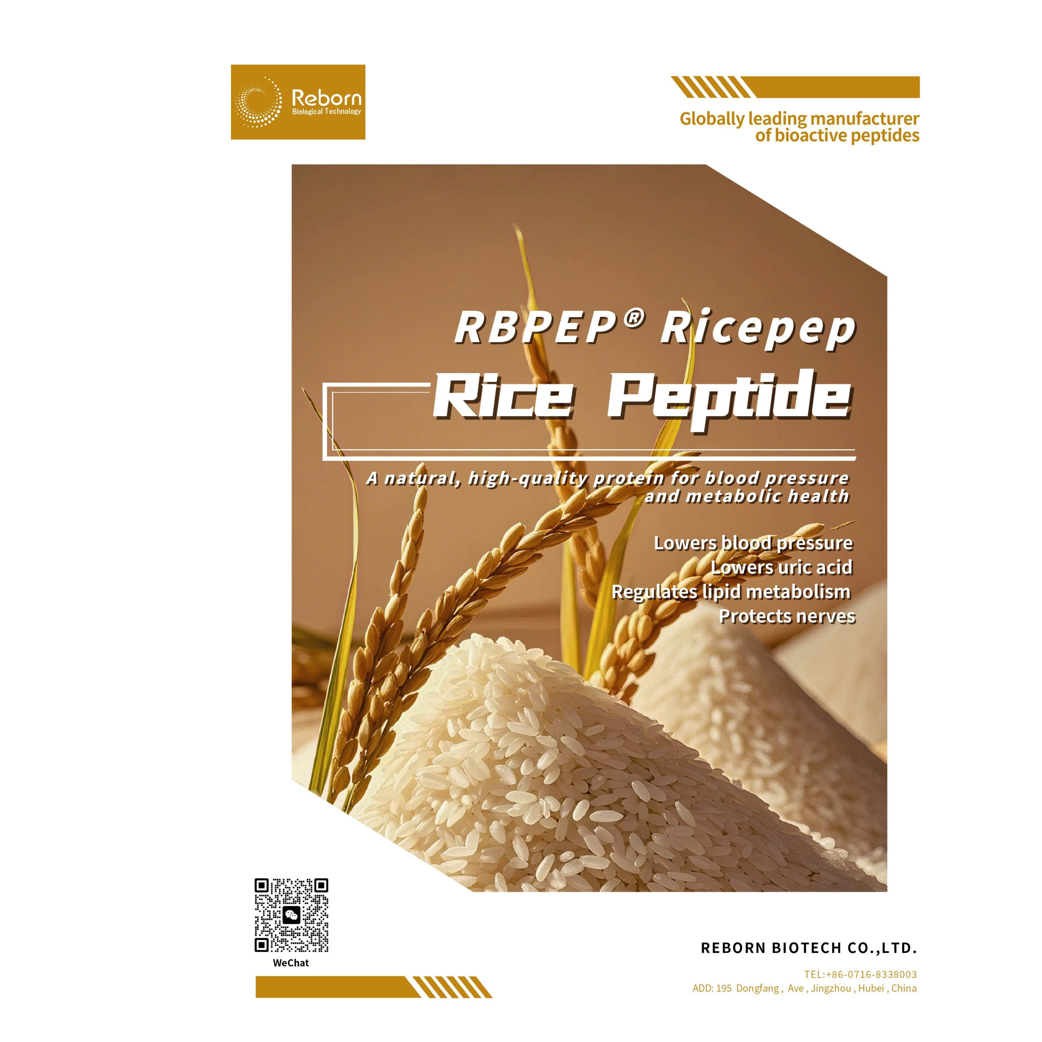 Rice Protein Peptide