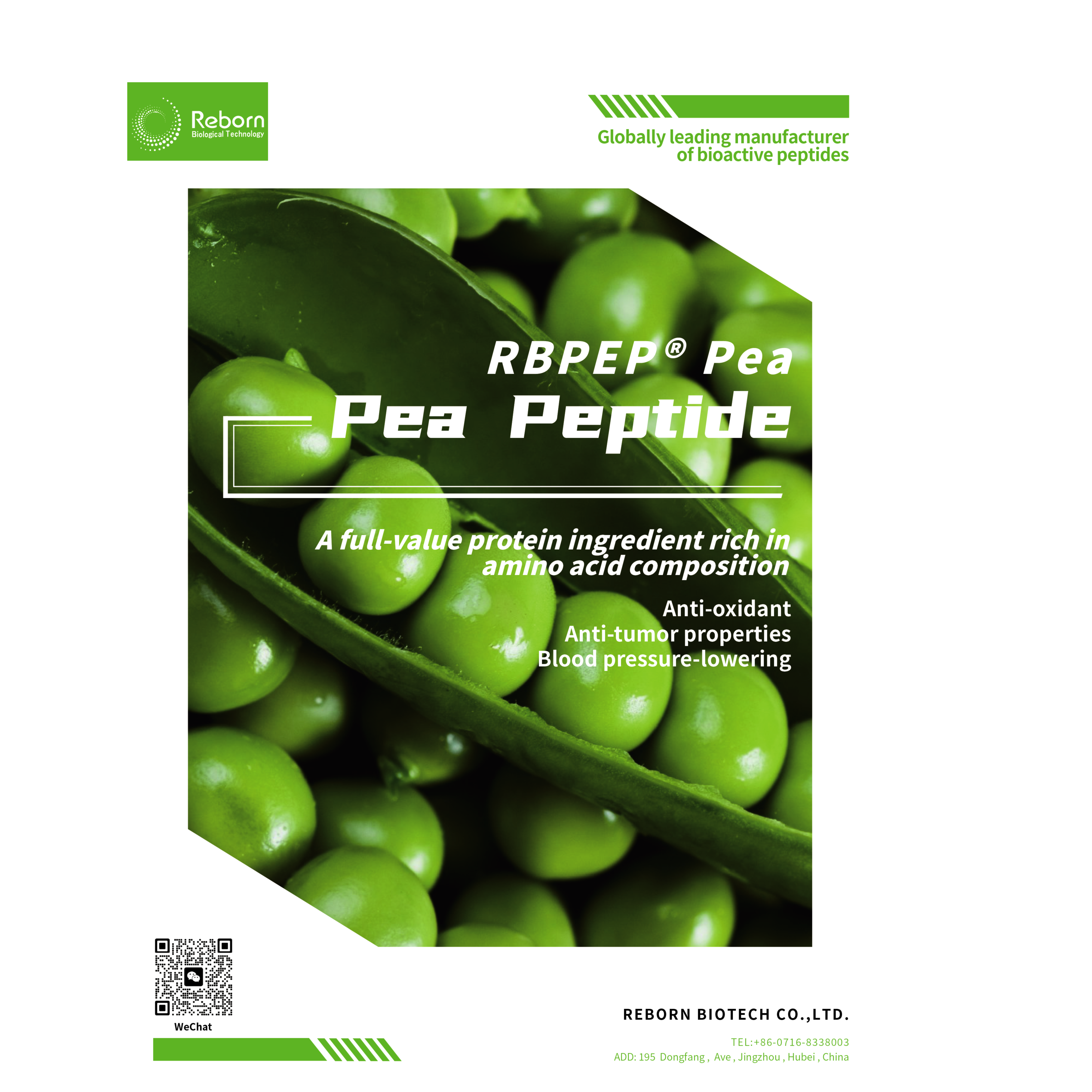 pea protein peptide（Clear pea protein）