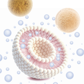 LiposoRise Products