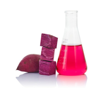 Purple Sweet Potato color/extract
