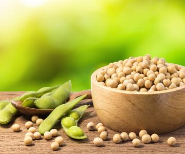 Soy Products