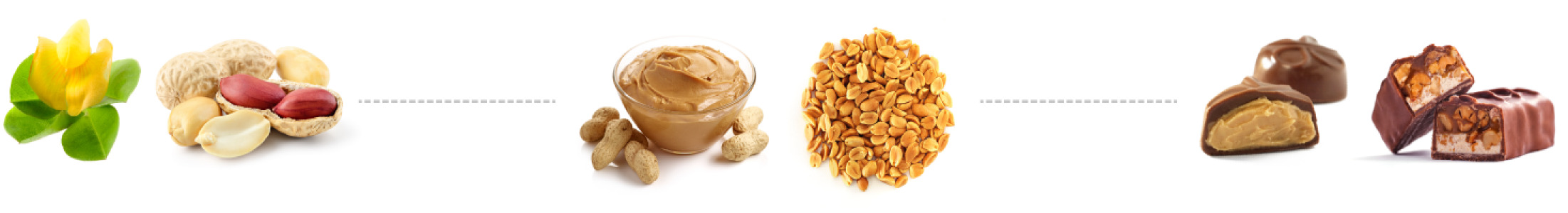 Processed peanut