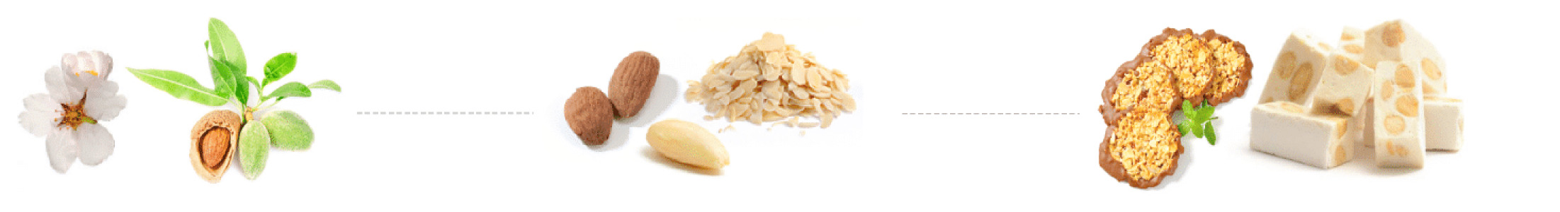 Processed almond