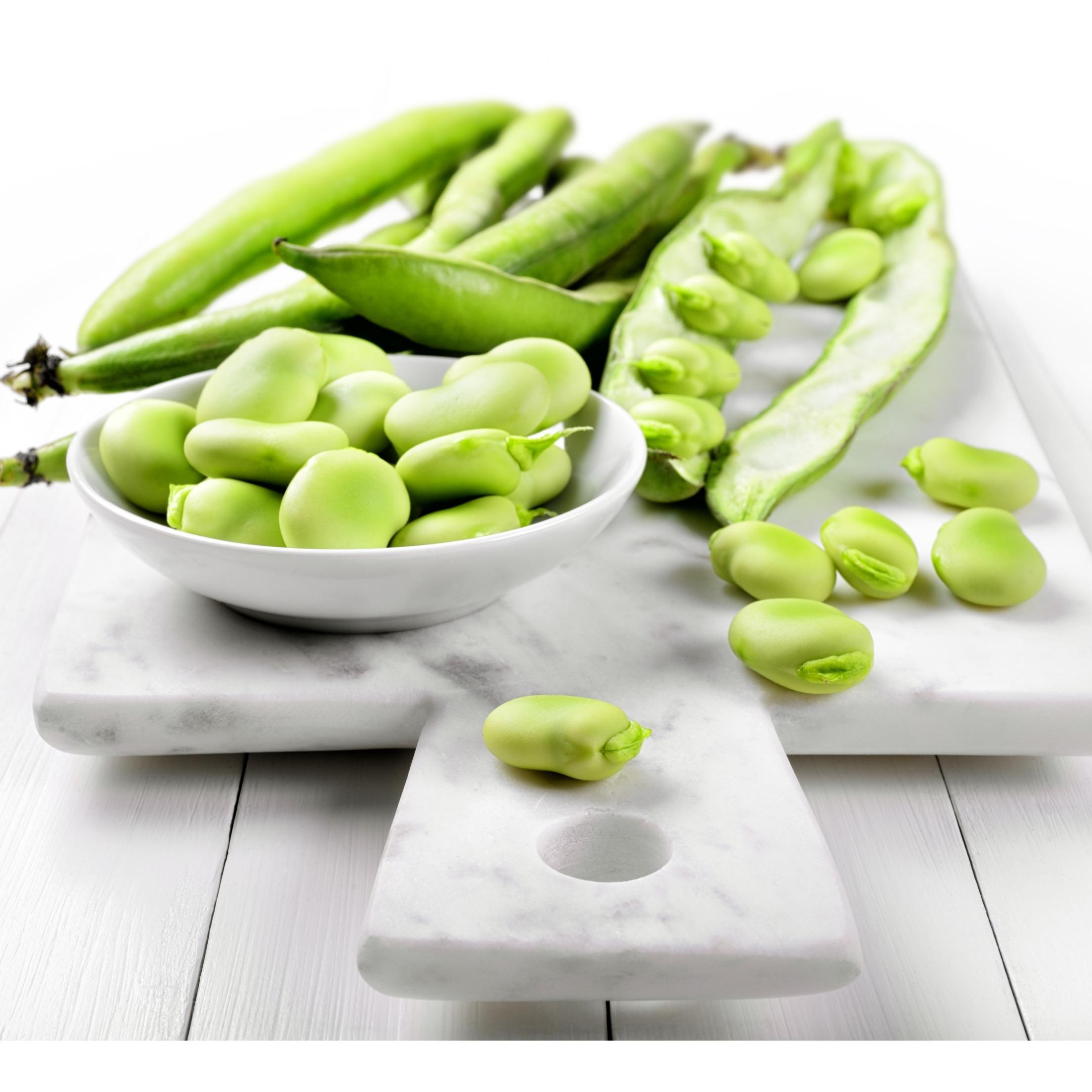 Feeding the future with Faba Bean ingredients