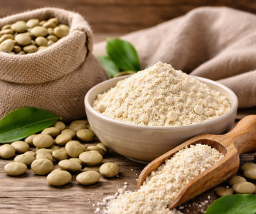 Fava Bean Protein Isolate