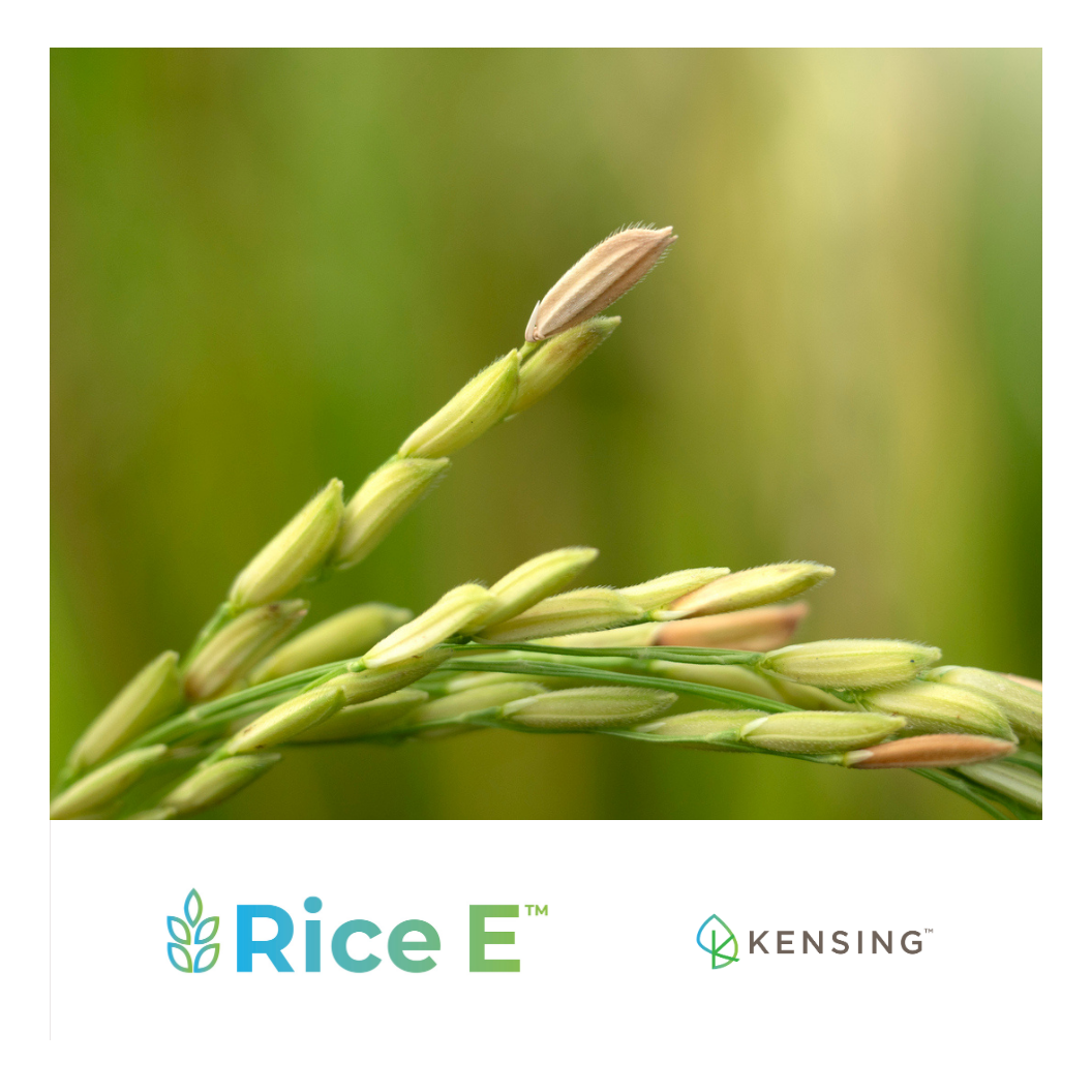 Rice E™ Full-Spectrum Rice Bran Tocotrienols with Natural RRR-α-Tocopherol